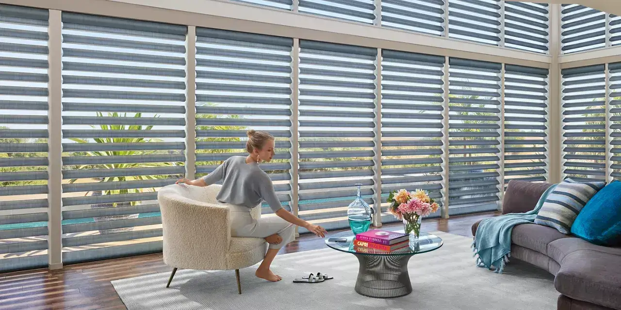 Hunter Douglas Sheer Shades in High Windows